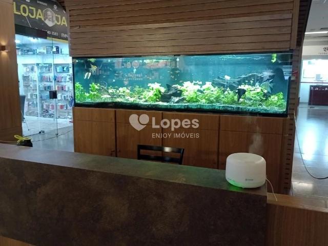 Ponto Comercial aluguel em Ipanema, Rio de Janeiro