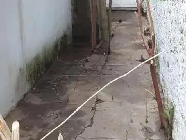 Ponto Comercial aluguel em São Carlos, Região Geográfica Intermediária de Araraquara
