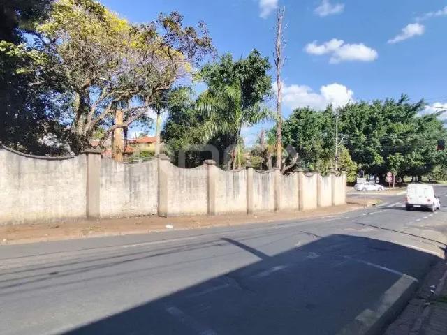 Ponto Comercial aluguel em São Carlos