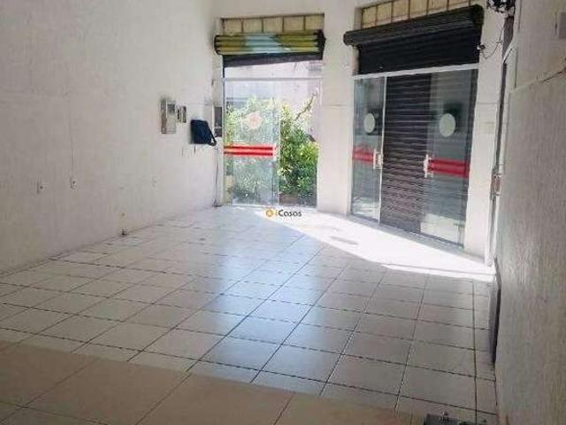 Ponto Comercial aluguel em São Paulo, Vila Santo Estéfano