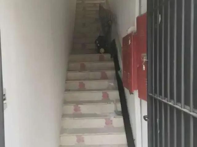 Ponto Comercial aluguel em Região Imediata de São Paulo, Região Metropolitana de São Paulo