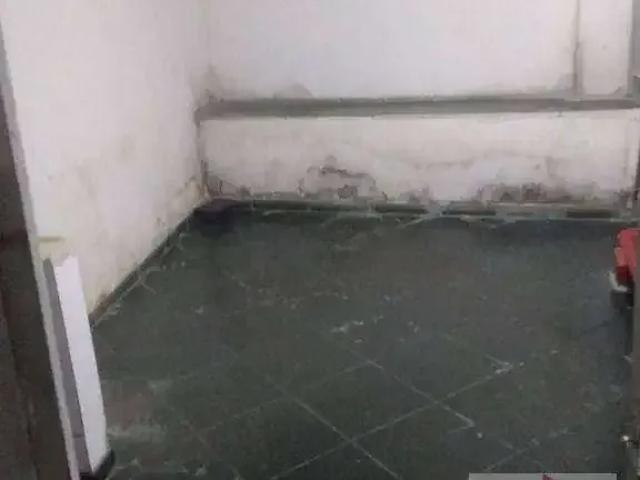 Ponto Comercial aluguel em Região Imediata de Santos, Região Metropolitana da Baixada Santista
