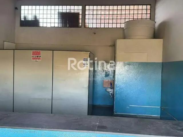Ponto Comercial aluguel em Umuarama, Uberlândia