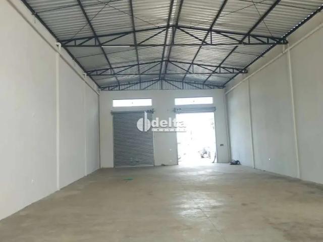 Ponto Comercial aluguel em Região Geográfica Imediata de Uberlândia, Oliveira Fortes