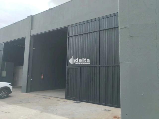 Ponto Comercial aluguel em Custódio Pereira, Uberlândia