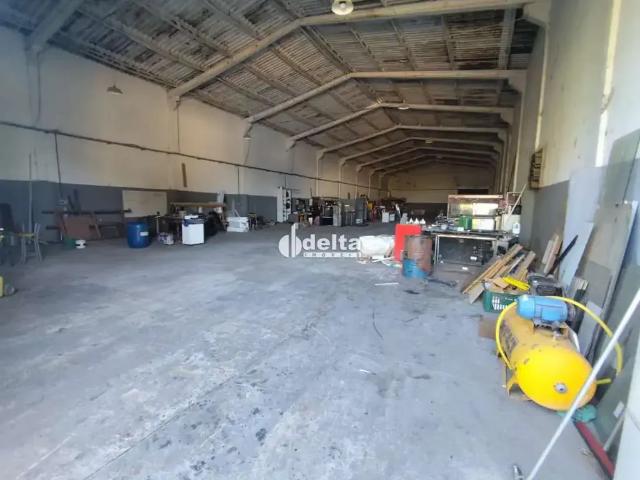 Ponto Comercial aluguel em Região Geográfica Imediata de Uberlândia, Oliveira Fortes