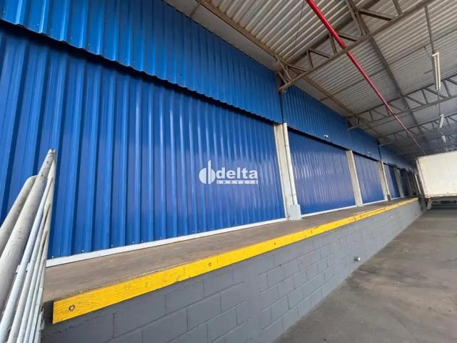 Ponto Comercial aluguel em Setor Norte, Uberlândia