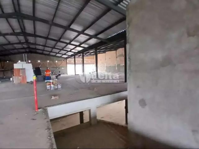 Ponto Comercial aluguel em Dona Zulmira, Uberlândia