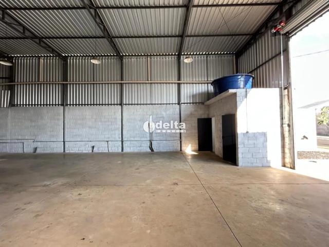 Ponto Comercial aluguel em Setor Norte, Uberlândia