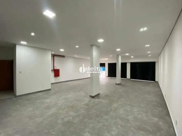 Ponto Comercial aluguel em Região Geográfica Imediata de Uberlândia, Oliveira Fortes
