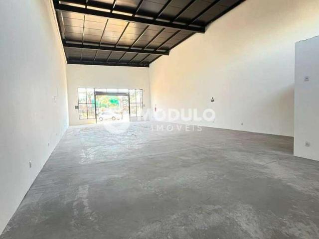 Ponto Comercial aluguel em Novo Mundo, Uberlândia