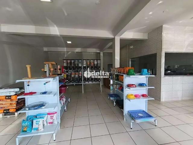 Ponto Comercial aluguel em Região Geográfica Imediata de Uberlândia, Oliveira Fortes