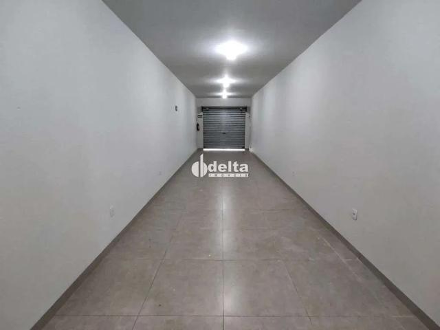 Ponto Comercial aluguel em Setor Sul, Uberlândia
