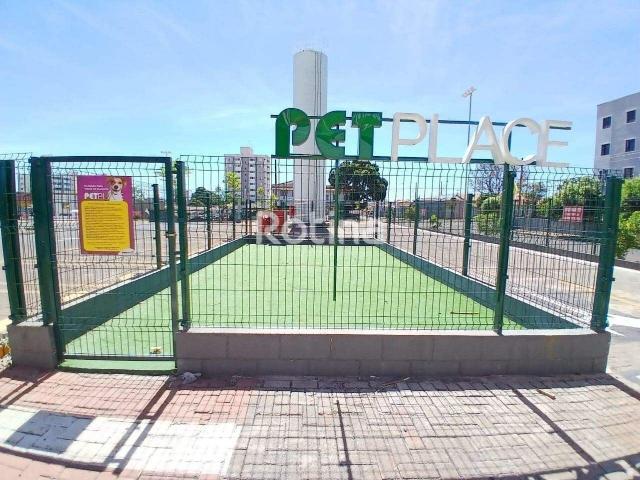 Ponto Comercial aluguel em Santa Mônica, Uberlândia