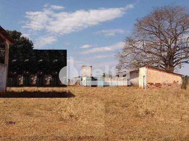 Ponto Comercial aluguel em Região Geográfica Imediata de Uberlândia, Oliveira Fortes