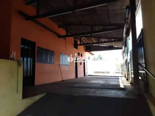 Ponto Comercial aluguel em Região Geográfica Imediata de Uberlândia, Oliveira Fortes