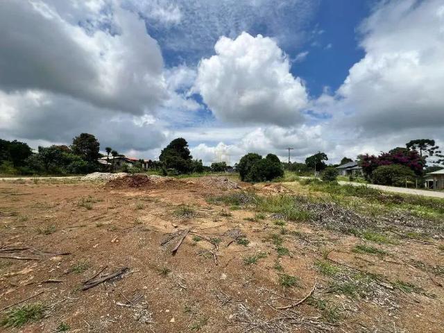 Ponto Comercial venda em Região Geográfica Imediata de Bento Gonçalves, Carlos Barbosa