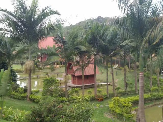Ponto Comercial venda em Região Geográfica Imediata de Afonso Cláudio - Venda Nova do Imigrante - Santa Maria de Jetibá, Domingos Martins