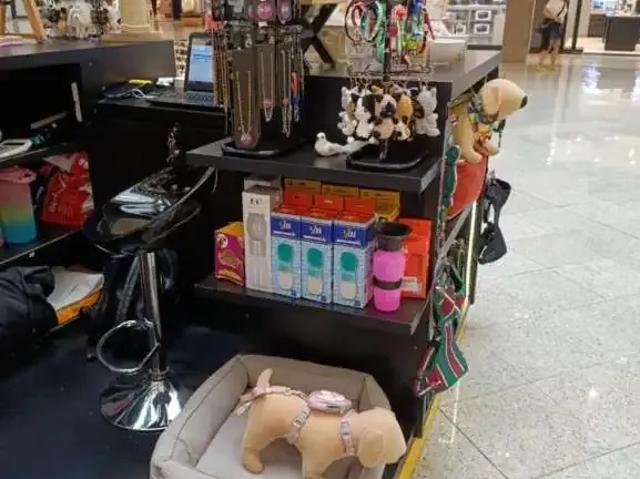 Ponto Comercial venda em Região Geográfica Imediata de Florianópolis, Desterro