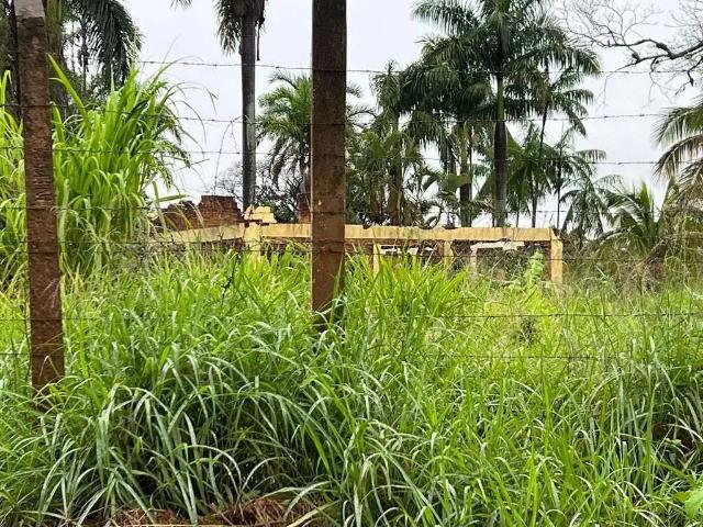 Ponto Comercial venda em Região Geográfica Imediata de Londrina, Londrina