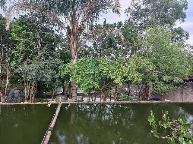 Ponto Comercial venda em Região Imediata de Guaratinguetá, Região Metropolitana do Vale do Paraíba e Litoral Norte