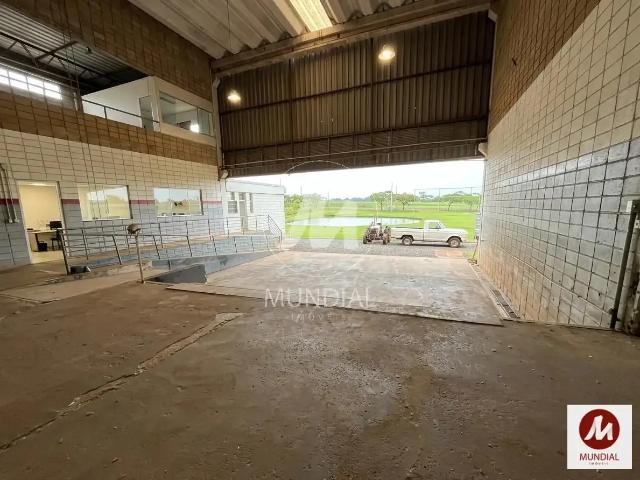 Ponto Comercial venda em Região Imediata de Ribeirão Preto, Região Metropolitana de Ribeirão Preto