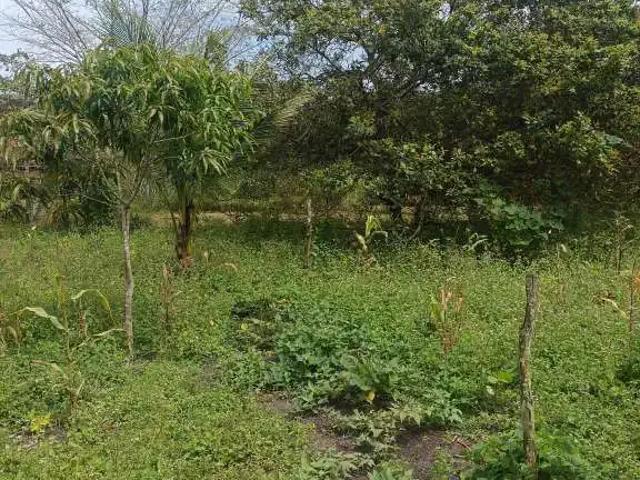 Ponto Comercial venda em Região Geográfica Imediata de Maceió, Rio Largo