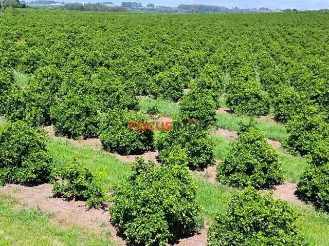 Ponto Comercial venda em Região Geográfica Imediata de São Sebastião do Paraíso, São Sebastião do Paraíso