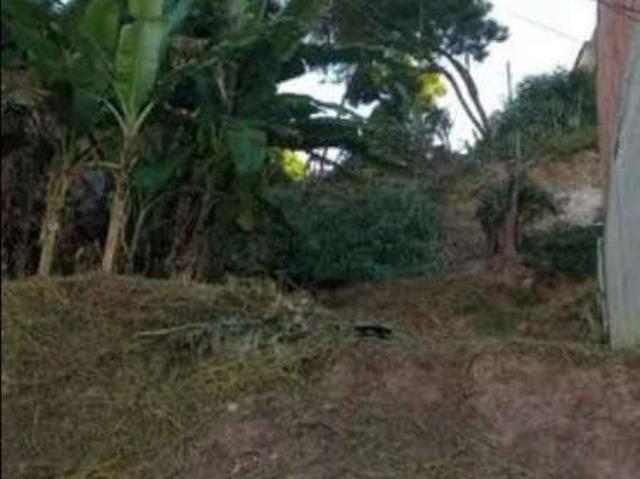 Ponto Comercial venda em Santa Luzia, São Benedito