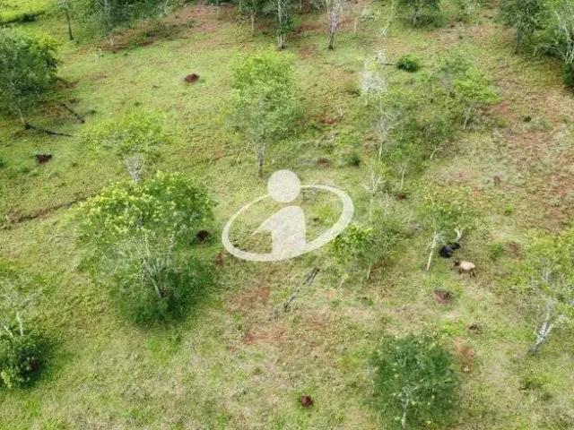Ponto Comercial venda em Região Geográfica Imediata de Uberlândia, Oliveira Fortes
