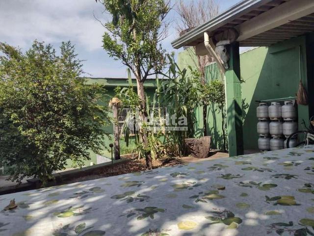 Ponto Comercial venda em Setor Norte, Uberlândia