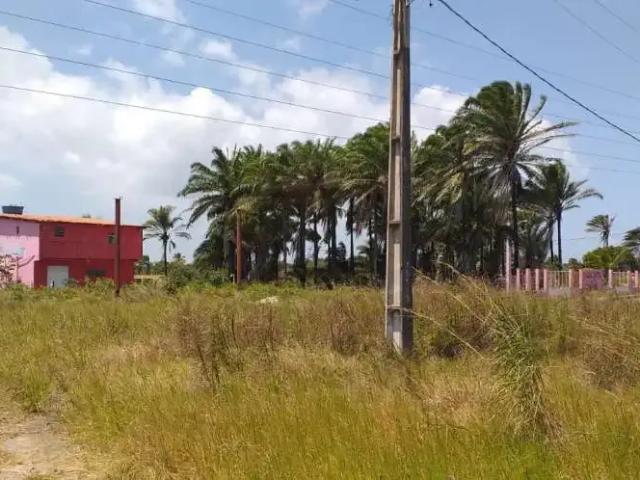 Ponto Comercial venda em Região Geográfica Imediata de Nazaré – Maragogipe, Região Metropolitana de Salvador