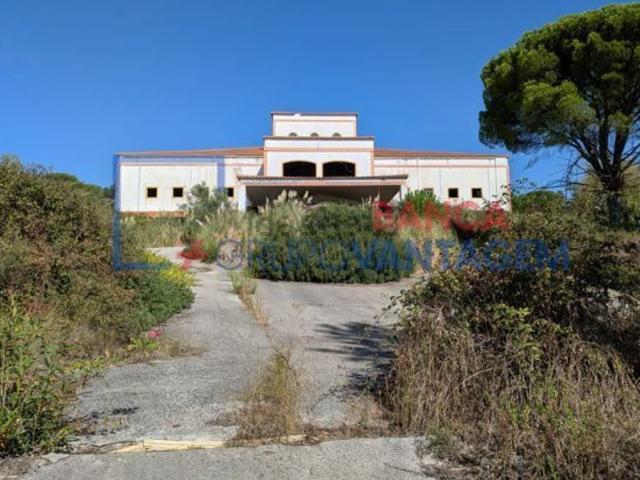 Armazém venda em Coruche