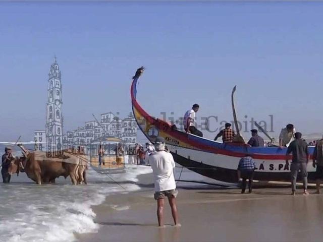 Armazém venda em Matosinhos de Baixo, Ovar