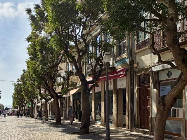 Loja alugar em Aveiro