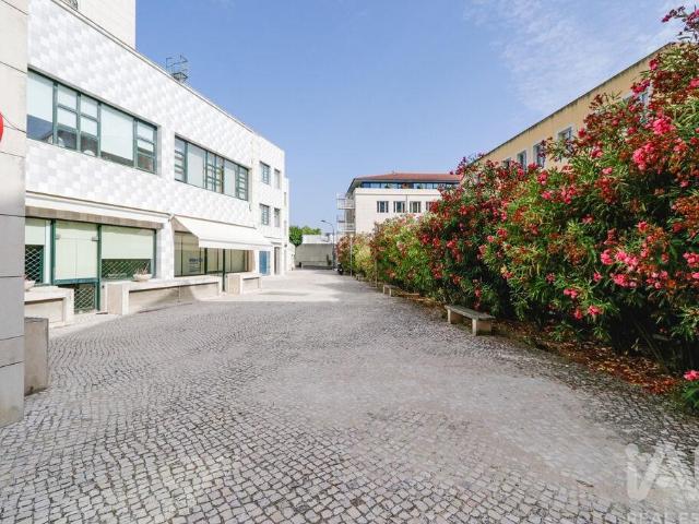 Loja alugar em Lisboa