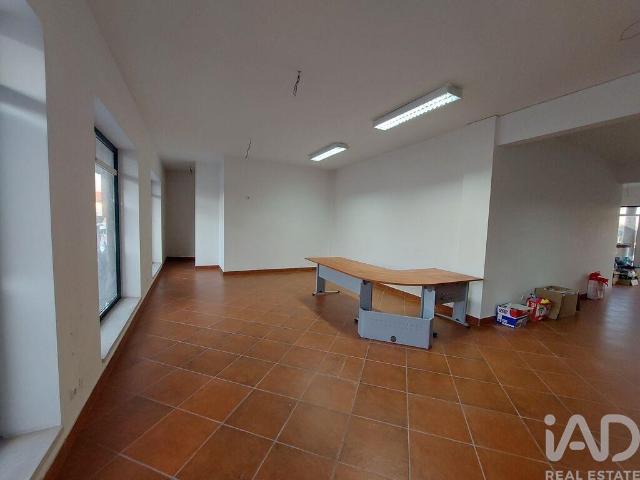 Loja alugar em Malaposta, Anadia