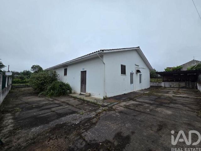 Loja venda em Guarda