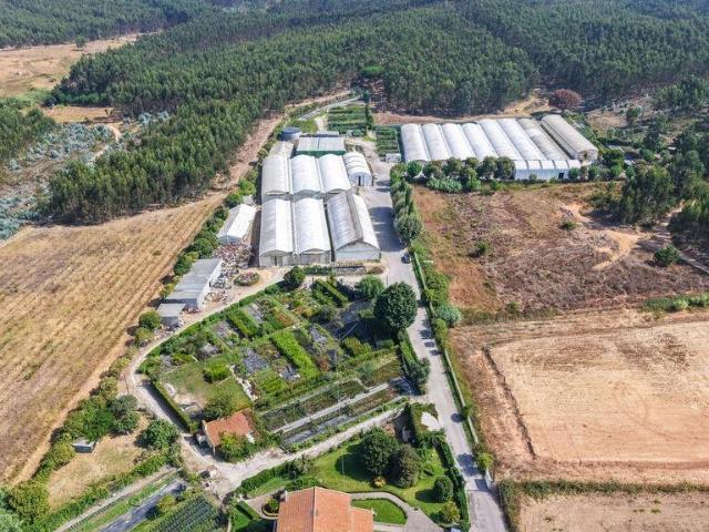 Loja venda em Torres Vedras, Lisboa