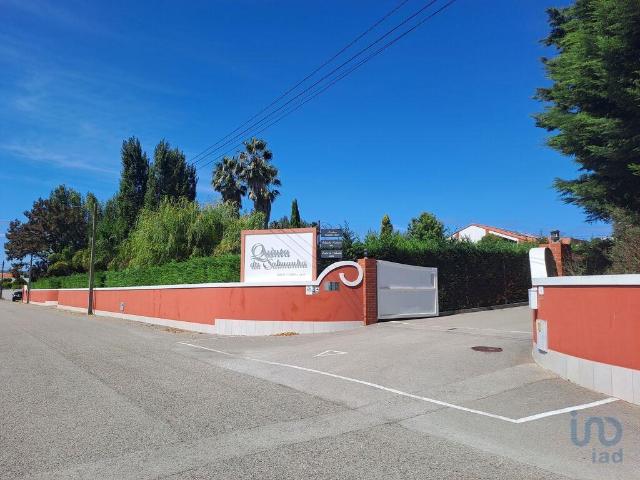 Loja venda em Figueira Da Foz, Coimbra