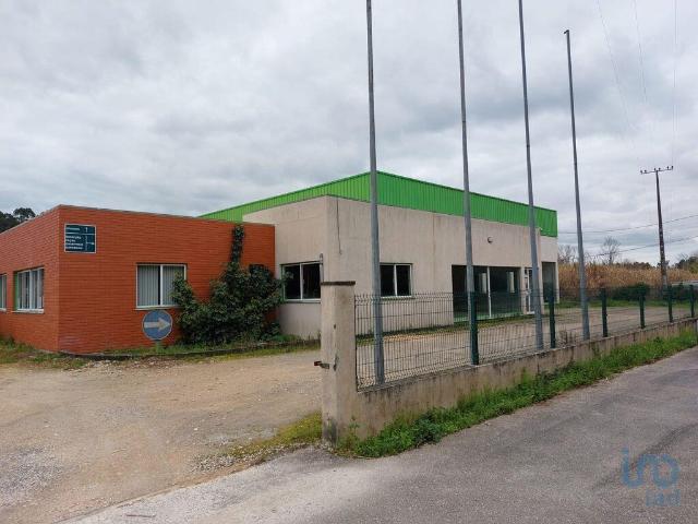 Loja venda em Cantanhede, Coimbra