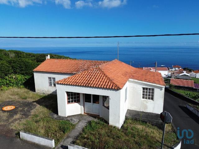 Loja venda em Açores, Ribeiras