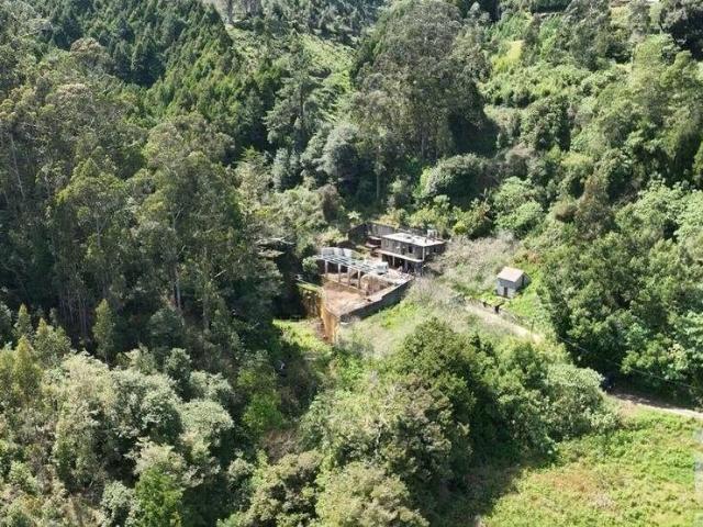 Loja venda em Machico, Ilha Da Madeira