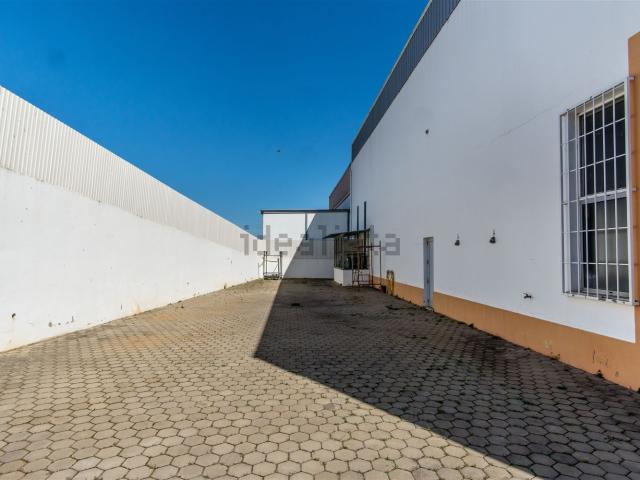 Armazém venda em Estômbar, Faro