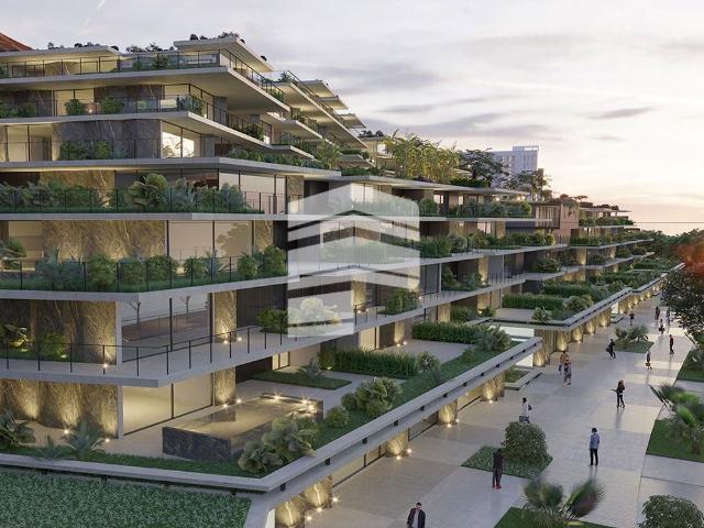 Loja venda em Câmara De Lobos, Ilha Da Madeira