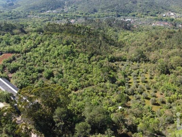 Armazém venda em Rego Da Murta, Santarém