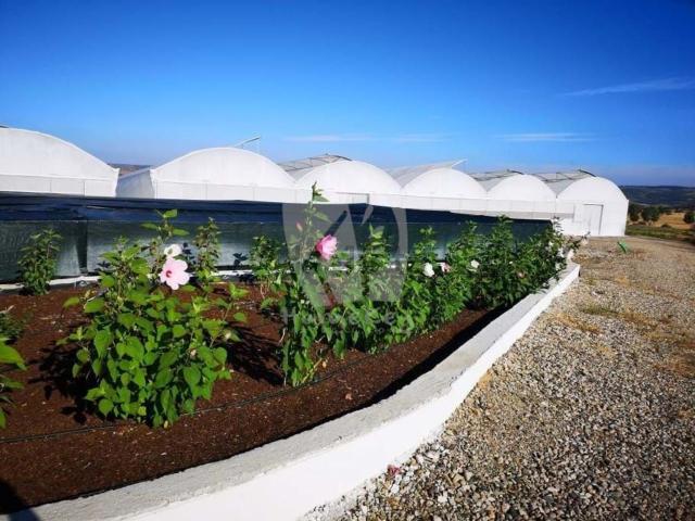 Loja venda em Castelo Branco, Idanha-a-nova