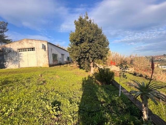 Armazém venda em Miragaia e Marteleira, Lourinhã