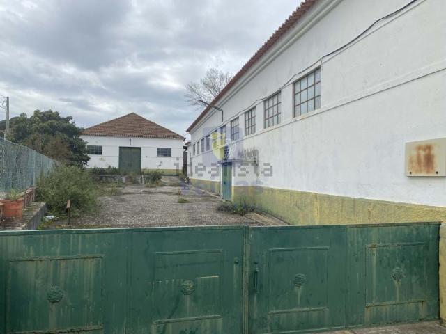 Armazém venda em Alcanena, Santarém