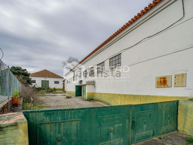 Armazém venda em Alcanena, Santarém